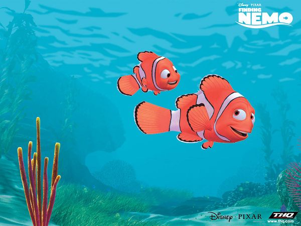 Cute Wallpaper Of A Poster Of “Finding Nemo”