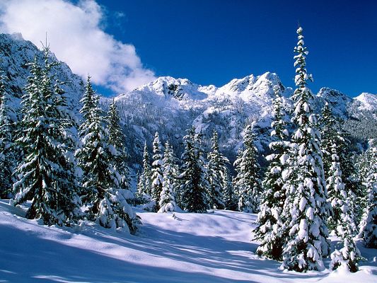 Free Wallpaper Of Natural Scenery Of Snow