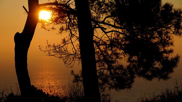 natural scene photos - The Rising Sun Above the Golden and Peaceful Sea, Shall Look Good