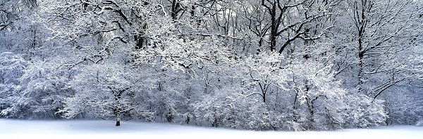 natural scenery photos - A Heavy Snow is Gone, Everything is in White Clothes, Unbelieveable Scene!