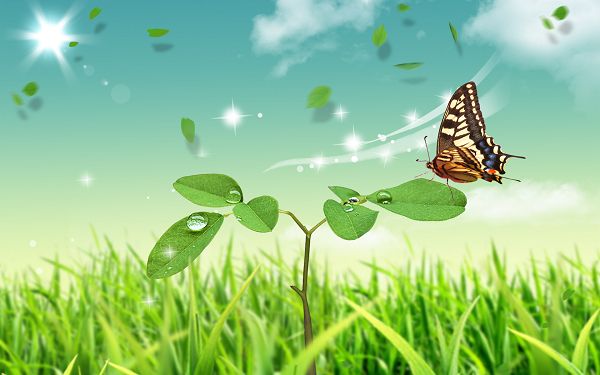 Natural Scenery Wallpaper: Butterfly And Green Plants