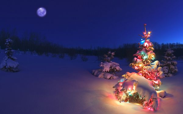 Wallpaper Of A Christmas Tree In Snowy Night