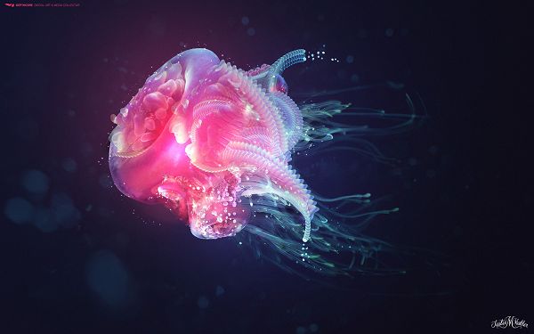 Wallpaper Of A Pink Jellyfish Floating In The Water