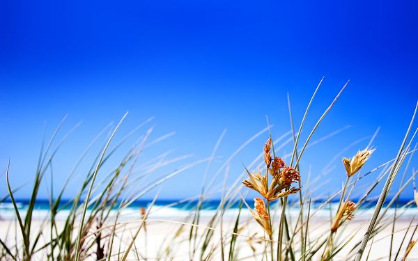 Wallpaper Of Beach:  The Clear Sky In Fine Days