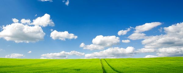 Wallpaper Of The Pure Natural Scenery: Vast Grassland