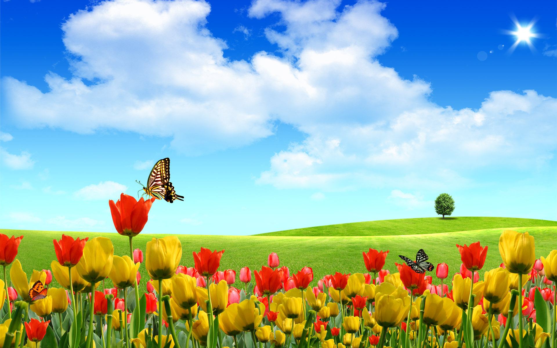 spring scenery pictures
