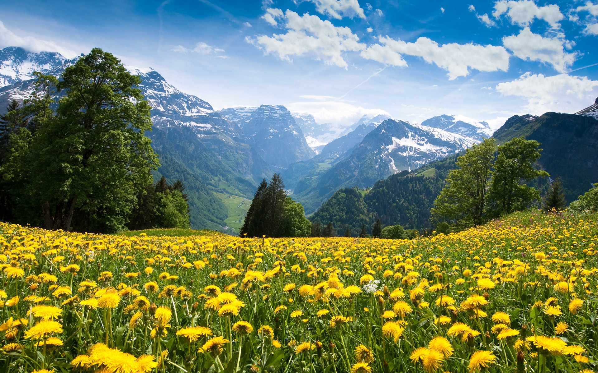 click to free download the wallpaper--The Scene of Alps Mountain, See ...