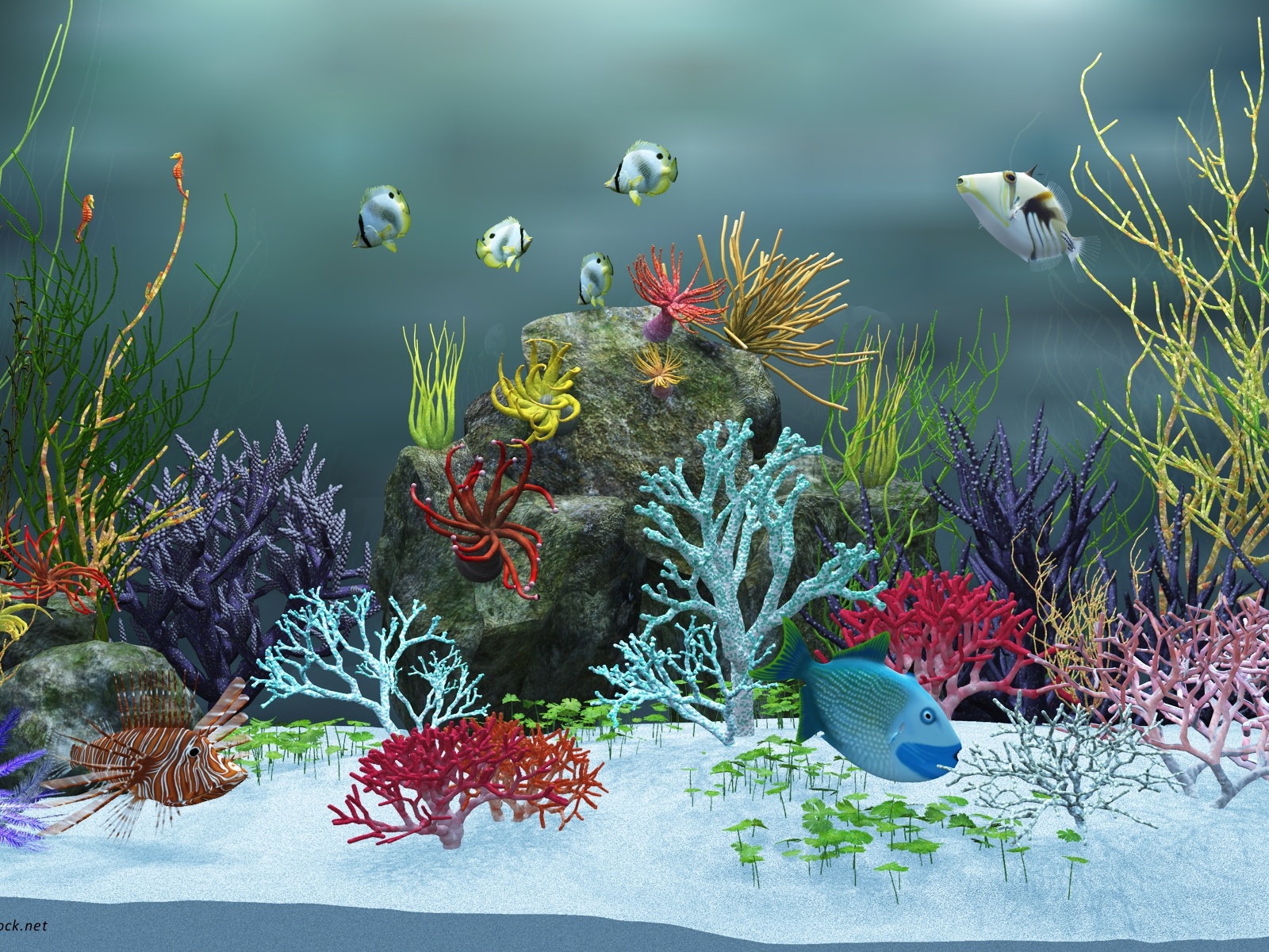 Underwater World Post, Various Fishes Are Swimming, Colorful Sea Plants, a Clean World 1600X1200 free wallpaper download