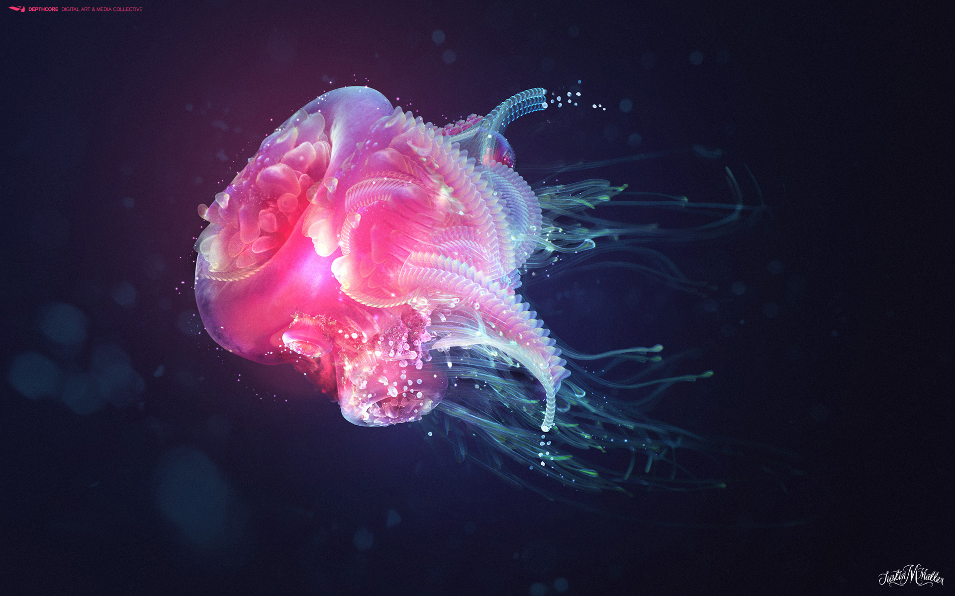 [Image: wallpaper_of_a_pink_Jellyfish_floating_in_the_water.jpg]