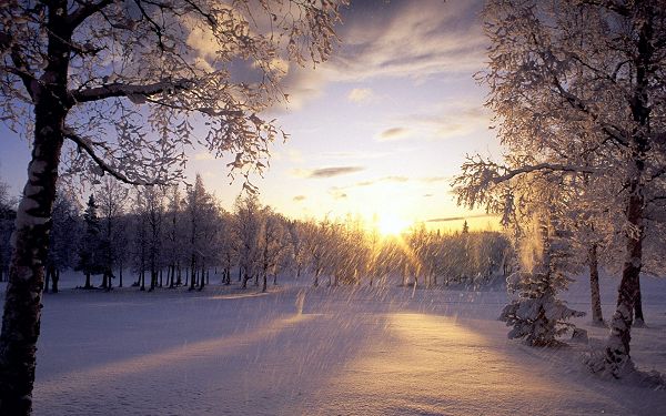 click to free download the wallpaper---A Heavy Snow is Falling, No Man is Out, Sunlight Can Soon Melt the Snow and Drive the Coldness - Snowy Natural Scenery Wallpaper