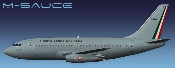 click to free download the wallpaper--Aeroplane Shows Image, Mexican Air Force Boeing 737-200 in the Fly