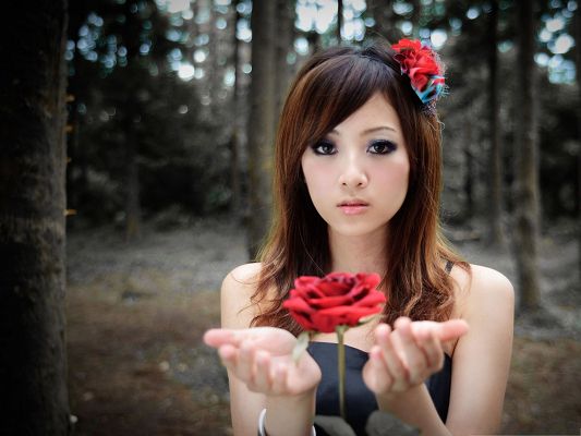 click to free download the wallpaper--Beautiful Girl Image, Nice Girl Presenting a Red Rose, Both Impressive
