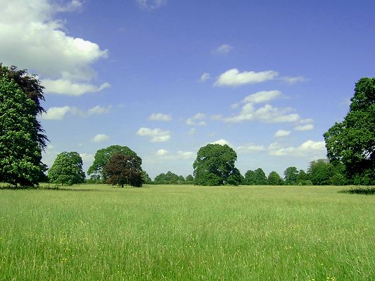 Beautiful Image of Nature Landscape, Green Scene, the Blue and Cloudless Sky