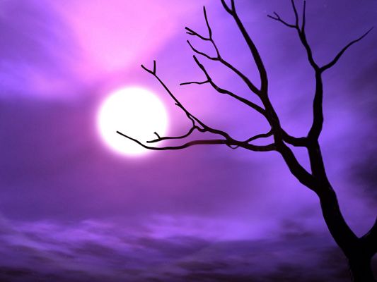 click to free download the wallpaper--Beautiful Image of Nature Landscape, the Purple Sky, Soft Moonlight Shadow, Cozy Scene