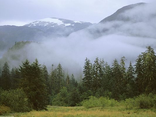 click to free download the wallpaper--Beautiful Images of Nature Landscape, Rain Forest, High Mountains, Misty Scene