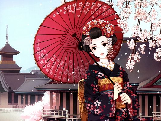 Beautiful Japanese Girl, in Kimono and Red Umbrella, Pink Cherries Above