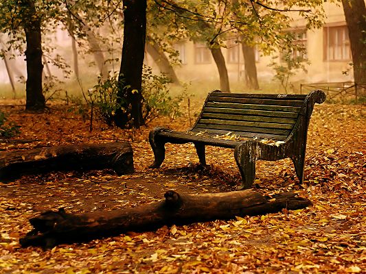 click to free download the wallpaper--Beautiful Landscape Images, an Old Bench, Yellow Leaves, Mist All Over 