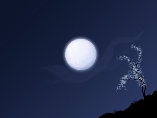 Beautiful Landscape of Nature, a White Fruitful Tree Under the Moonlight Shine, the Blue Sky