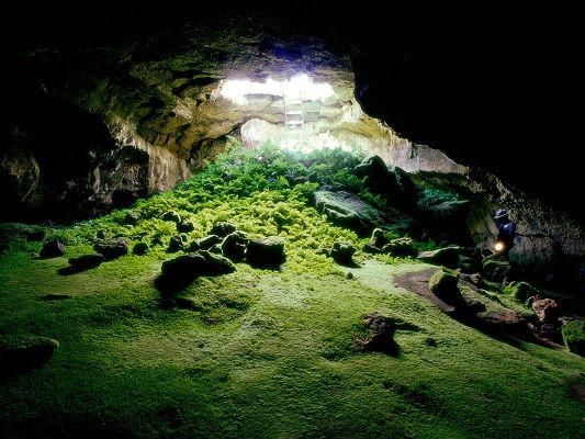 click to free download the wallpaper--Beautiful Landscape of the World, Laba Tube Cave, a Full Eye of Green Scene, Impressive Look