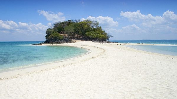 Beautiful Scene of Beach - The Blue and Clear Sea, White Sand and Green Plants in the Middle