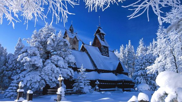 click to free download the wallpaper--Beautiful Sceneries of Nature - Snow-Covered Houses and Tree Branches, Incredible Winter Scene