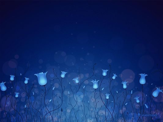 Blue Lighting Flowers HD Post in Pixel of 1600x1200, All Blue Flowers Swinging, It is Quiet Evening Scene - TV & Movies Post