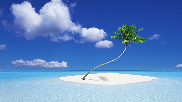 click to free download the wallpaper---Clear and Blue Sea, a Green Plant is Living in the Middle Part, Sky is Also Quite Blue - HD Natural Scenery Wallpaper