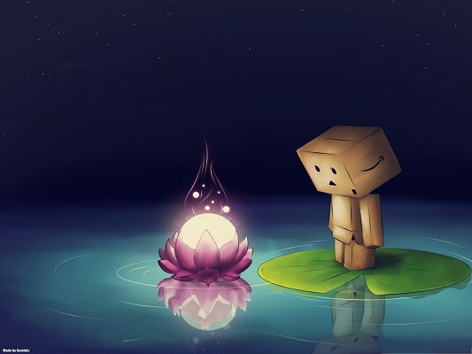 Computer Background Wallpaper, Danbo Drawing, Focusing on a Bright Lotus