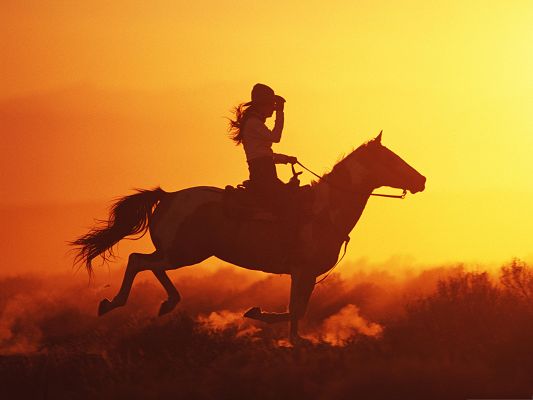 Cool Girls Picture, Girl On Horse, Running in the Golden Sky