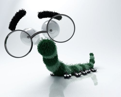 click to free download the wallpaper--Cute Animals Image, Funny Bug, Thin and Long Body, Big Glasses, Seem As If Smiling