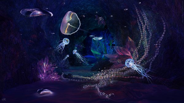 click to free download the wallpaper--Deep Jewels Post Available in 1920x1080 Pixel, Fishes Are Lighted Up, Swimming Freely, They Shall be Quite a Fit - HD Natural Scenery Wallpaper