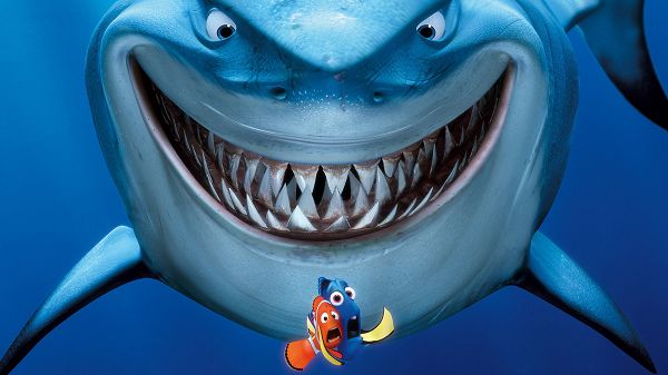 Finding Nemo Available in 1920x1080 Pixel, Nemo and His Daddy Are in Danger, Yet Love of the Father Will Ensure the Kid Safety, Don't be Afraid - TV & Movies Wallpaper