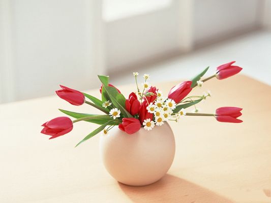 click to free download the wallpaper--Flower Art Photography, Red and White Flowers in Egg Pot, Inside the Room