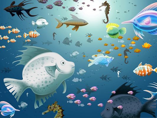 Free Animals Wallpaper, Numerous Fishes in the Sea, Enjoy Free Swim in the Deep Ocean