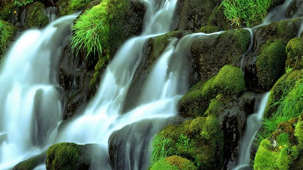 click to free download the wallpaper--Free Download Natural Scenery Picture - A Waterfall Passing Through the Green Stones, a Clean and Fresh World