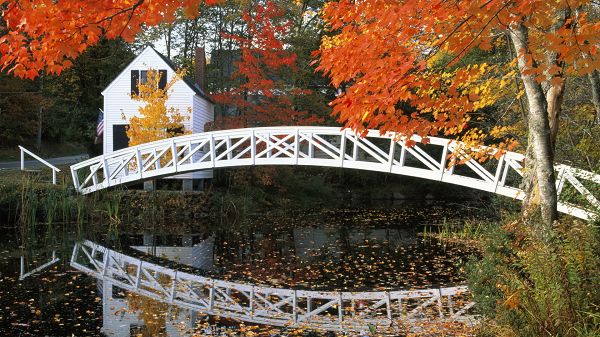 click to free download the wallpaper--Free Download Natural Scenery Picture - A White Bridge Across the River, a White House, Leaves on the River Surface