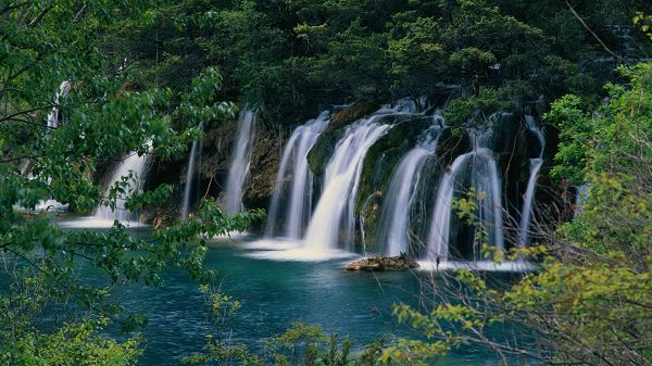 click to free download the wallpaper--Free Download Natural Scenery Picture - Numerous Waterfalls Are Pouring into the Clear Sea, Green Trees Embracing Them