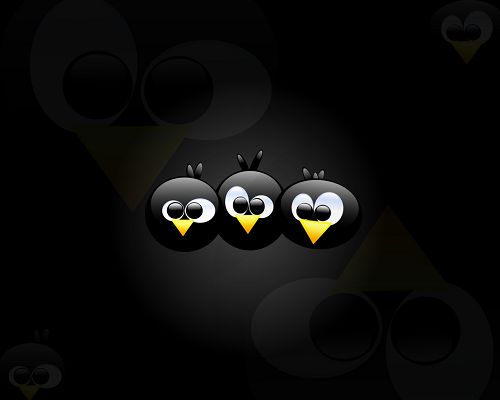 Free Wallpaper - Includes Three Angry Birds, Fun and Decent Enough to Fit All Users!,click to download