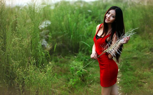 click to free download the wallpaper--Girl in Red Dress, the None Other Attraction in Green Field and Grass, the Most Impressive for Her Purity - HD Attractive Women Wallpaper