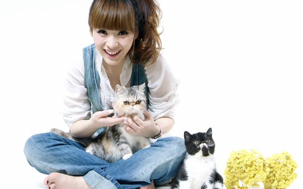 click to free download the wallpaper--Girl with Her Pet Kitties, All of Them Are Happy Together, She is Indeed Good-Looking in Smile - HD Liu Yan Wallpaper