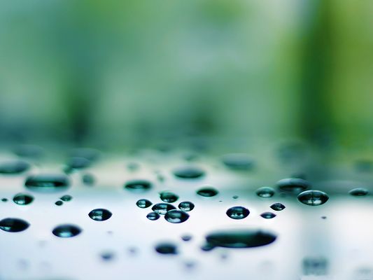 click to free download the wallpaper--High Quality Wallpaper Background, Waterdrops on Macro Focus, Clear and Impressive