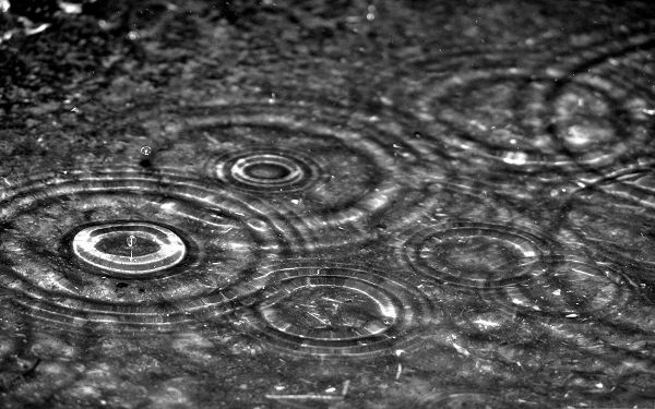 click to free download the wallpaper--High Quality Wallpaper Desktop - Rainy Day, Causing Nice Little Ripples