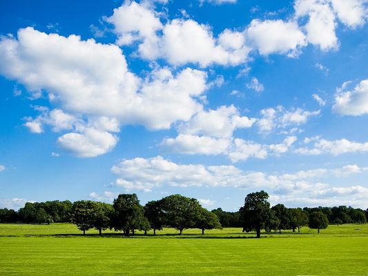 click to free download the wallpaper--High Resolution Wallpapers, Peaceful Meadow Under the Blue Sky, Impressive Scene