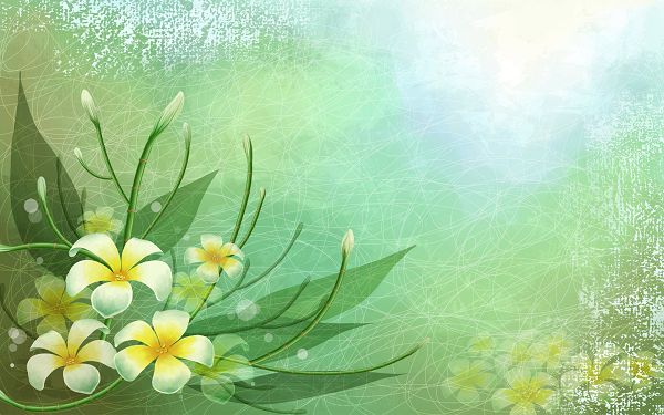 click to free download the wallpaper--In Light and Graceful Color, a Flower in Full Bloom, It is Quite a Simple and Impressive Scene - HD Natural Scenery Wallpaper