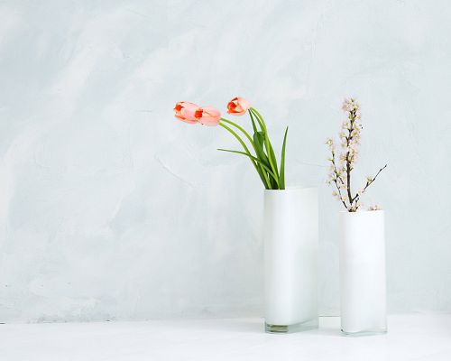 Including Two Branches of Flowers, a Purely White Setting, Striking as Simple and Stylishing Item - Indoor Flower HD Wallpaper 