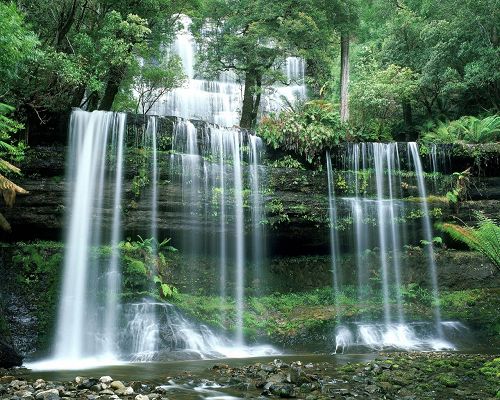 click to free download the wallpaper--Natural Landscape Images, Russell Falls, Green Scenes Around, Miracle of Nature