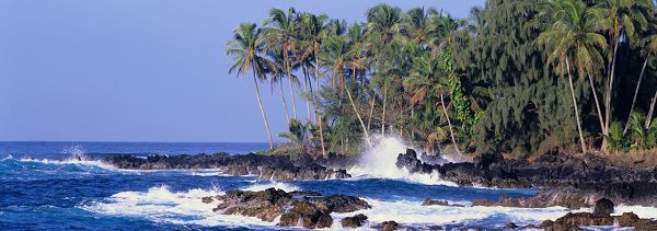 click to free download the wallpaper--Natural Scenery images - Coconut Trees by the Beach, the Incredibly Blue Sky and the Sea