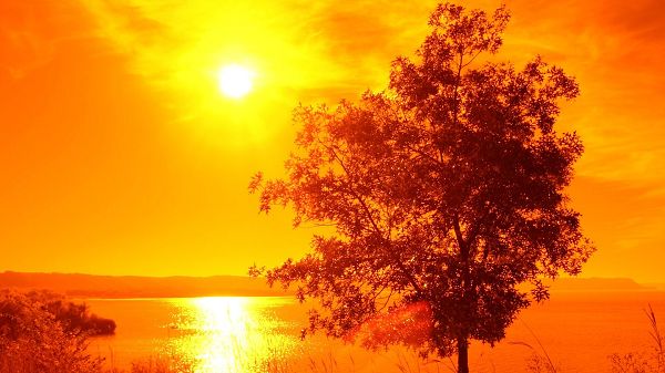 click to free download the wallpaper--Natural Scenery photo - The Bright Sun in Completely Golden Lights, Shall Fit Various Devices