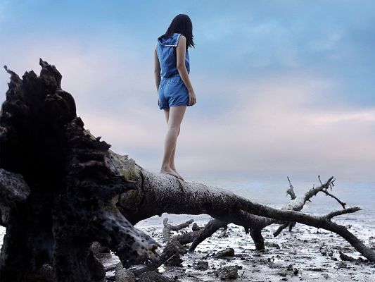 click to free download the wallpaper--Nice Girl Pic, Beautiful Girl Walking on Branch, Toward the Sea?