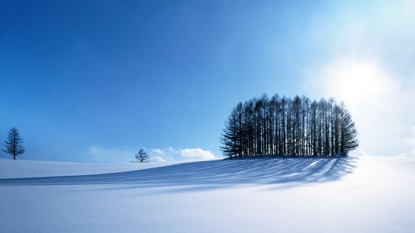 Pics of Snowy Scene - No Footsteps, a Pure World Under the Blue Sky, Everything is Fine